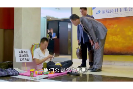 青田企业清欠服务